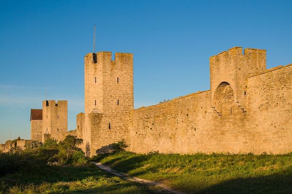 Bibikow, Walter 아티스트의 Sweden-Gotland Island-Visby-12th century city wall-most complete medieval city wall in Europe-dawn작품입니다.